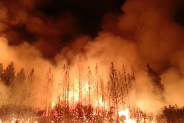 ‘Tis the Season for Fires: Wildfire Smoke linked to Skin Disease